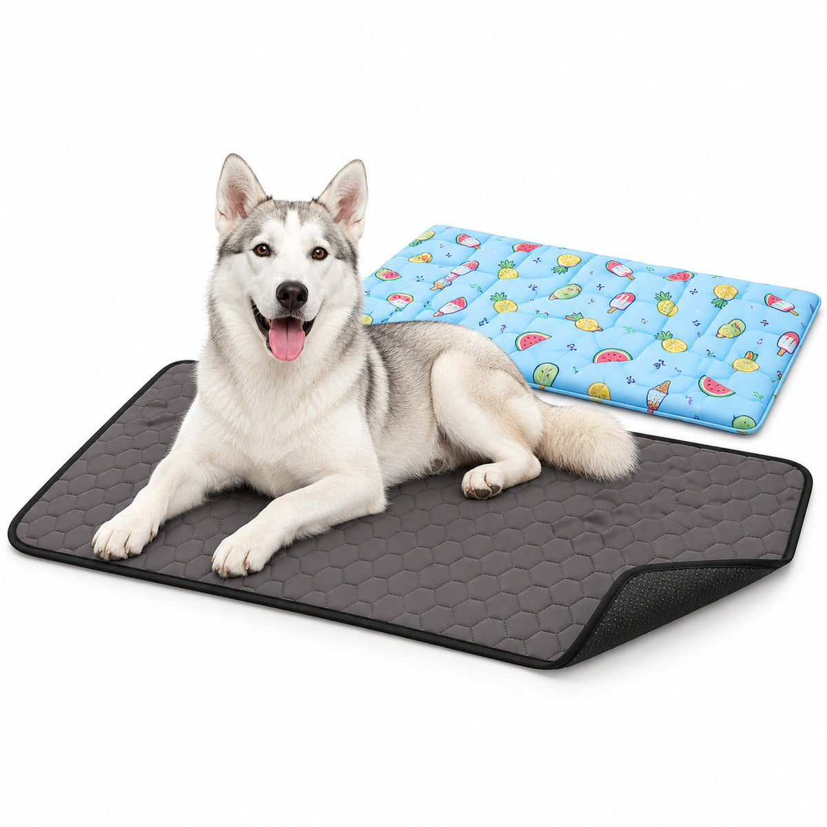 Alfombrillas para perros