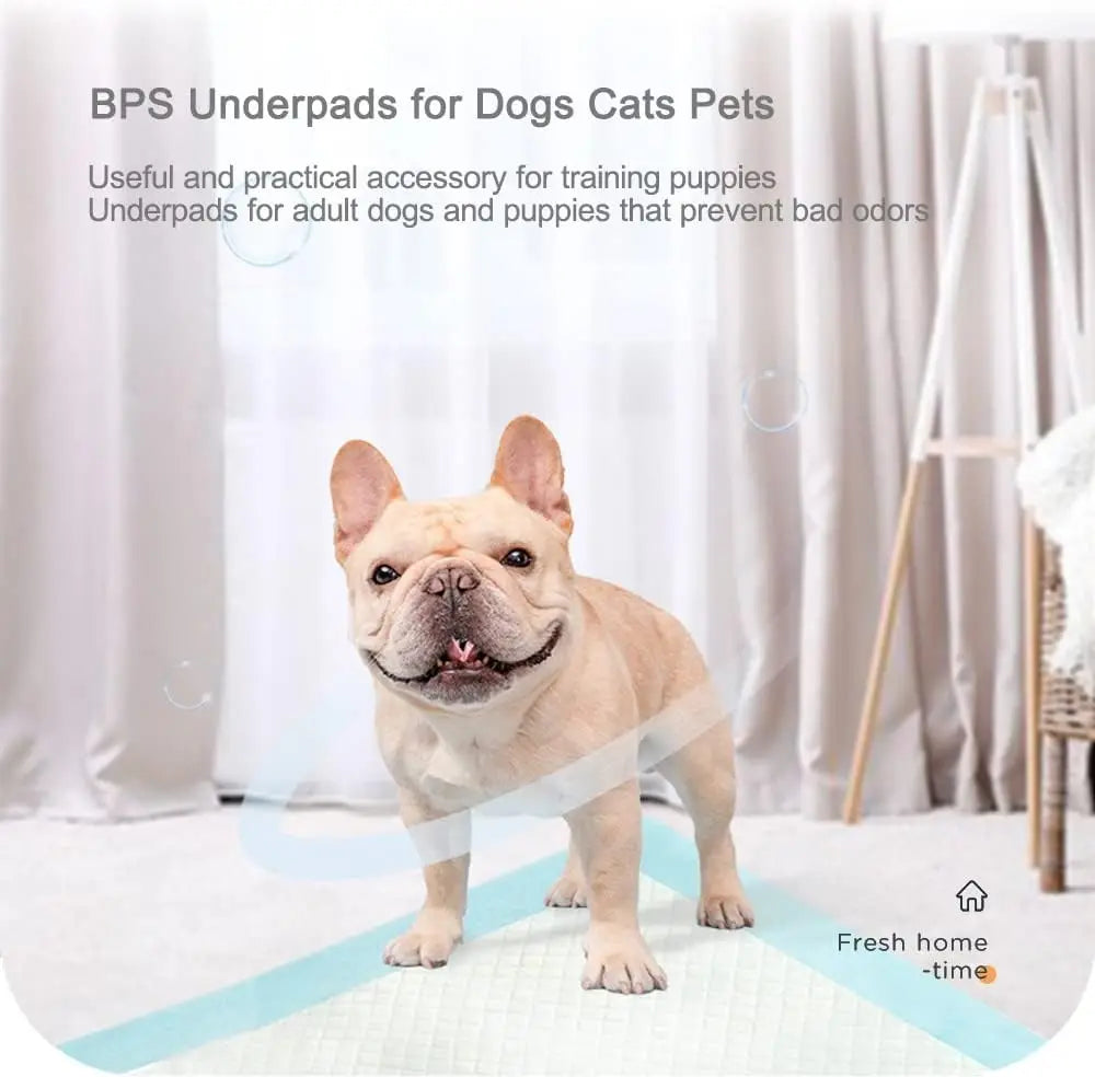 Empapadores de Entrenamiento para Perros y Gatos con Feromonas
