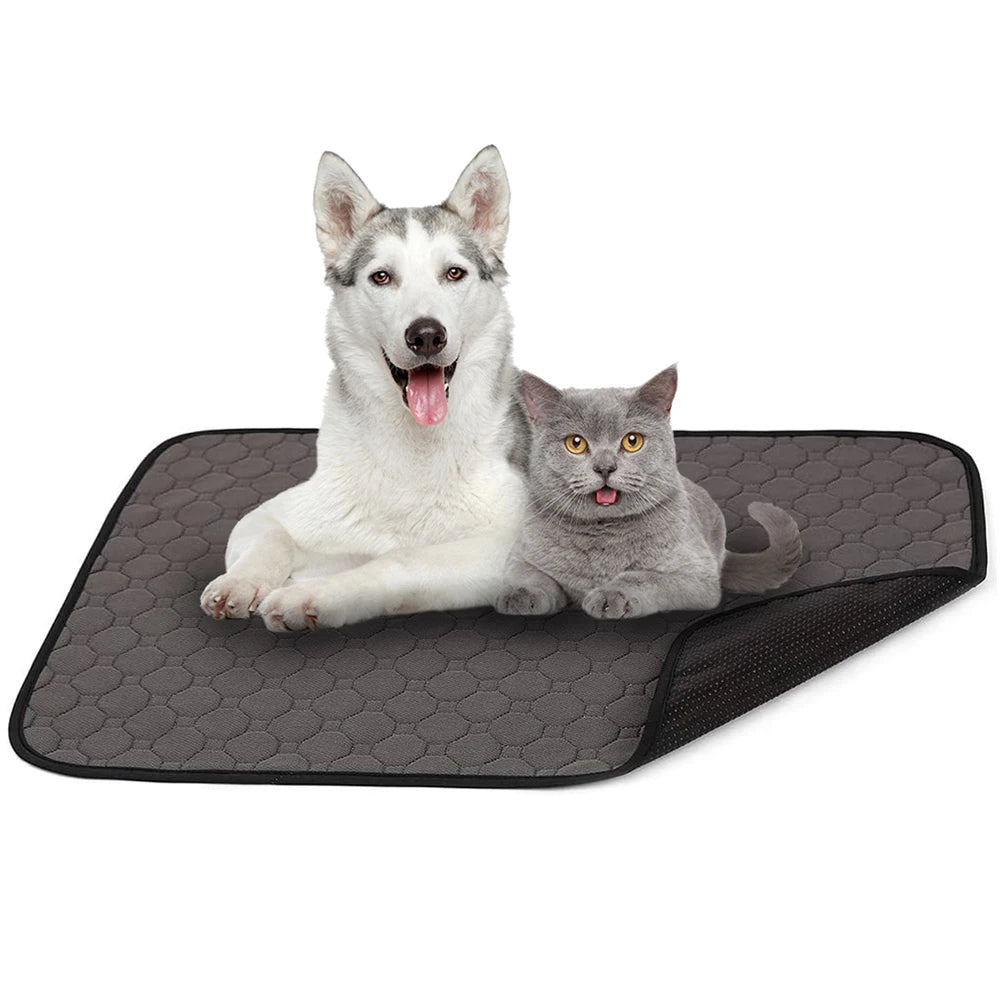 Empapador Lavable y Reutilizable para Perros Antideslizante