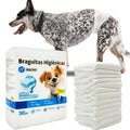 Braguita Higiénica Pañal Sanitario para Perros Macho