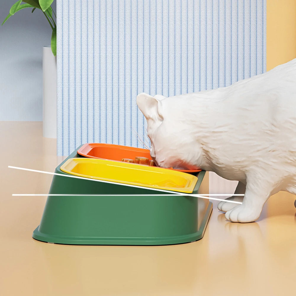 Comedero y Bebedero 2 en 1 para Gatos y Perros con Diseño Inclinado