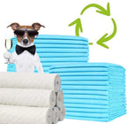 Empapadores para Perros de Entrenamiento y Alfombrilla Higiénica