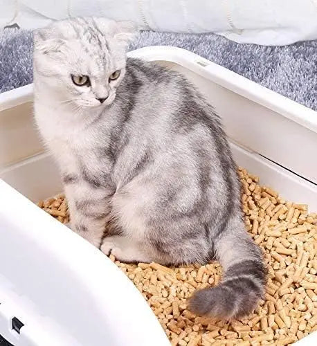 Lecho Higiénico de Pellets de Madera para Roedores, Aves y Gatos