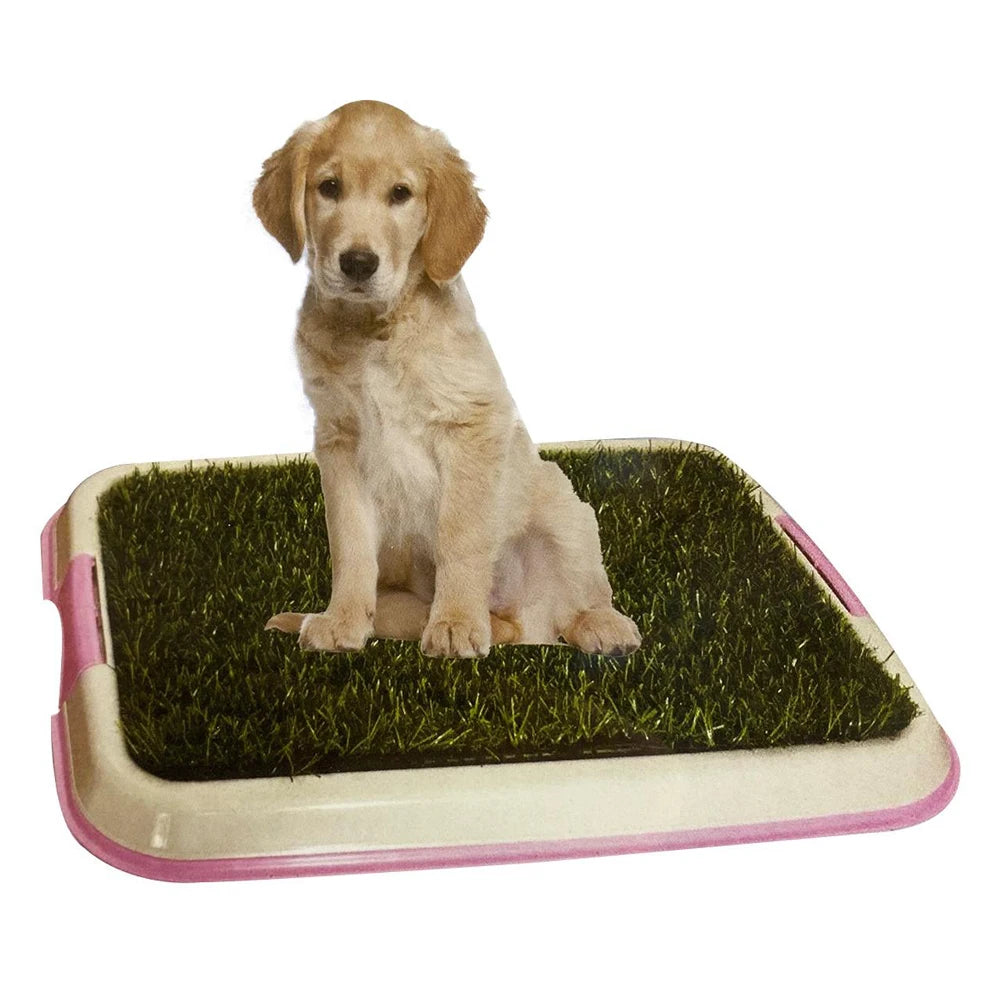 Bandeja Sanitaria para Perros con Césped Artificial