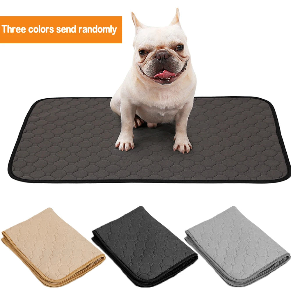 Empapador Lavable y Reutilizable para Perros Antideslizante