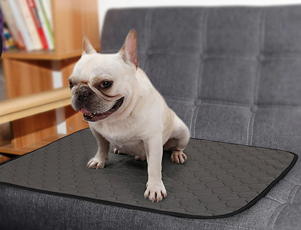 Empapador Lavable y Reutilizable para Perros Antideslizante