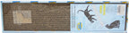 Rascador Tabla de Cartón para Gatos con Hierba Gatera