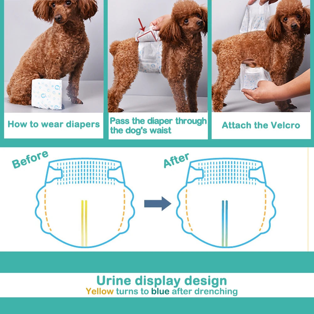 Pañales Desechables para Perros Macho con Braguita Higiénica