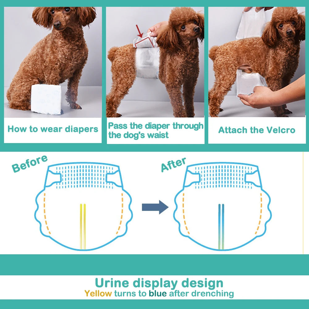 Braguita Higiénica Pañal Sanitario para Perros Macho