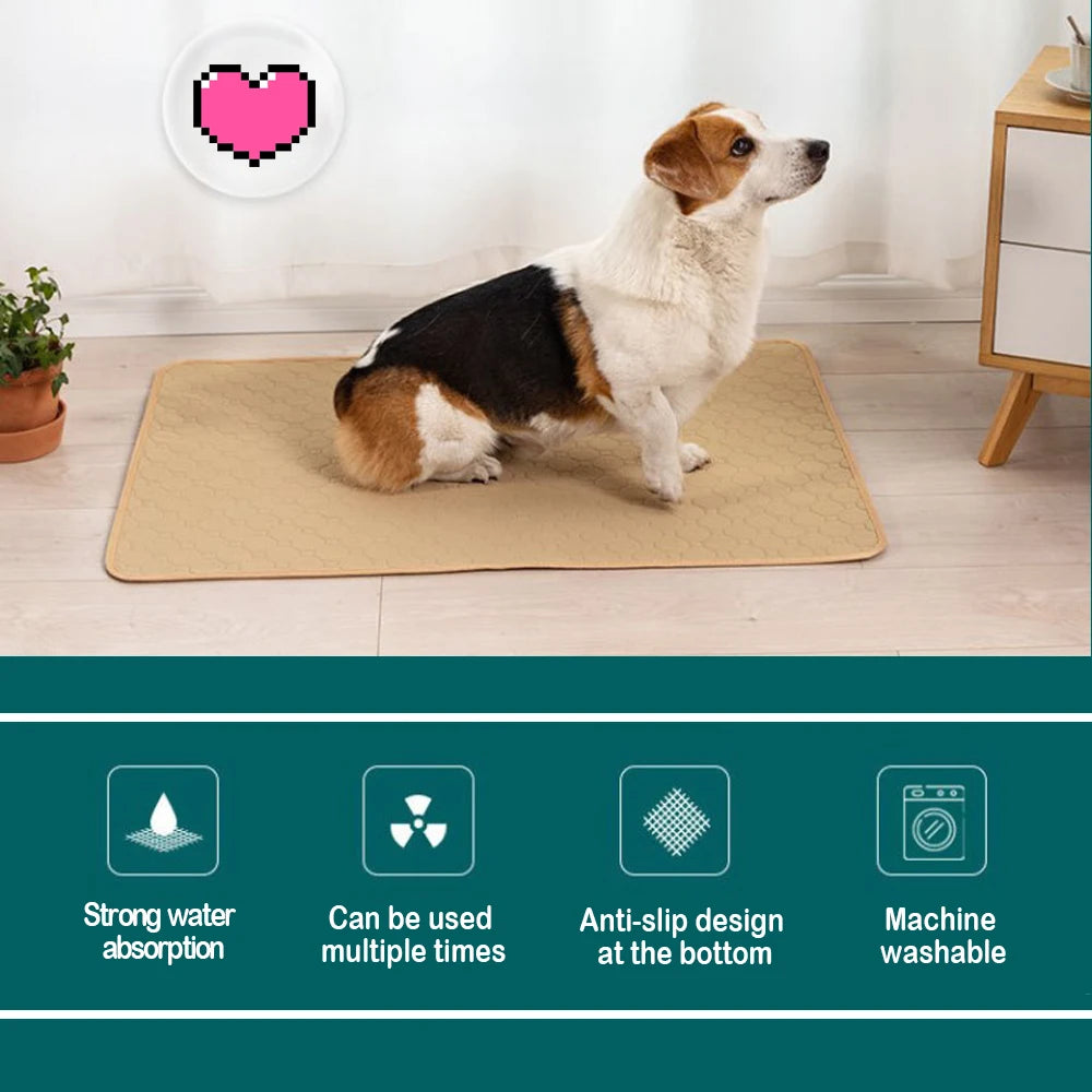 Empapador Lavable y Reutilizable para Perros Antideslizante