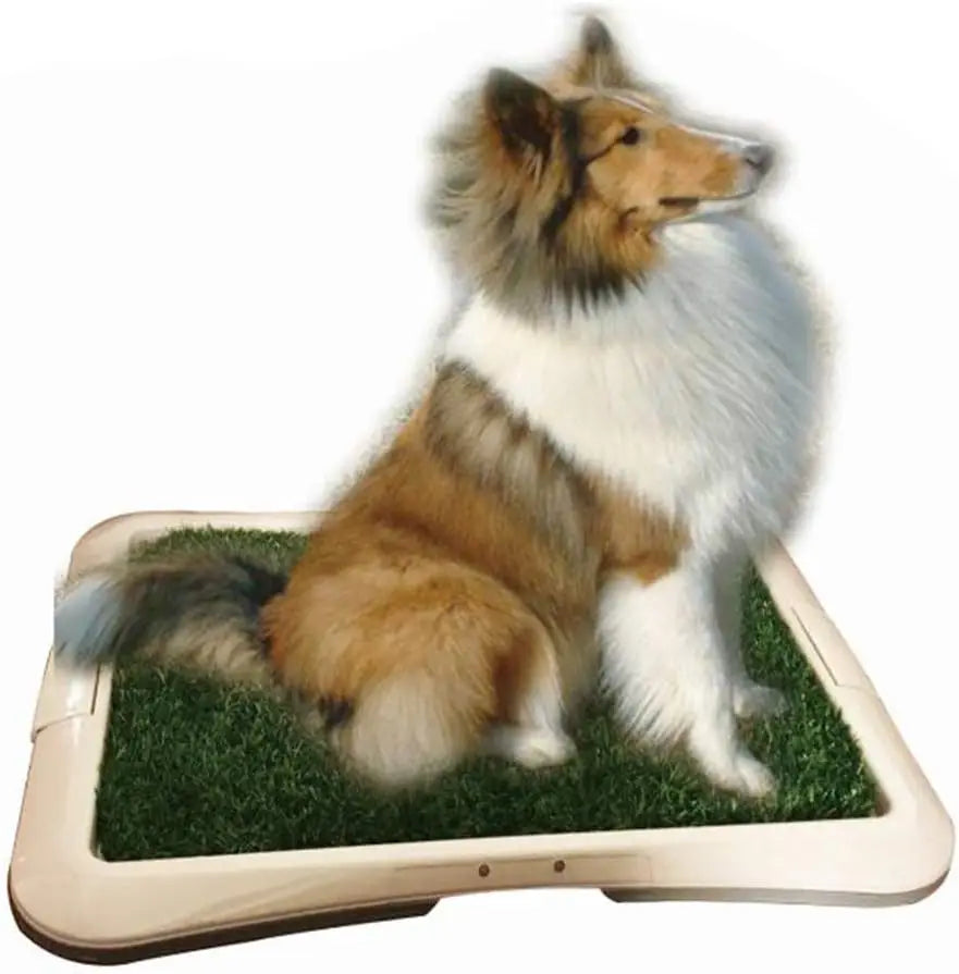 Bandeja Sanitaria para Perros con Césped Artificial