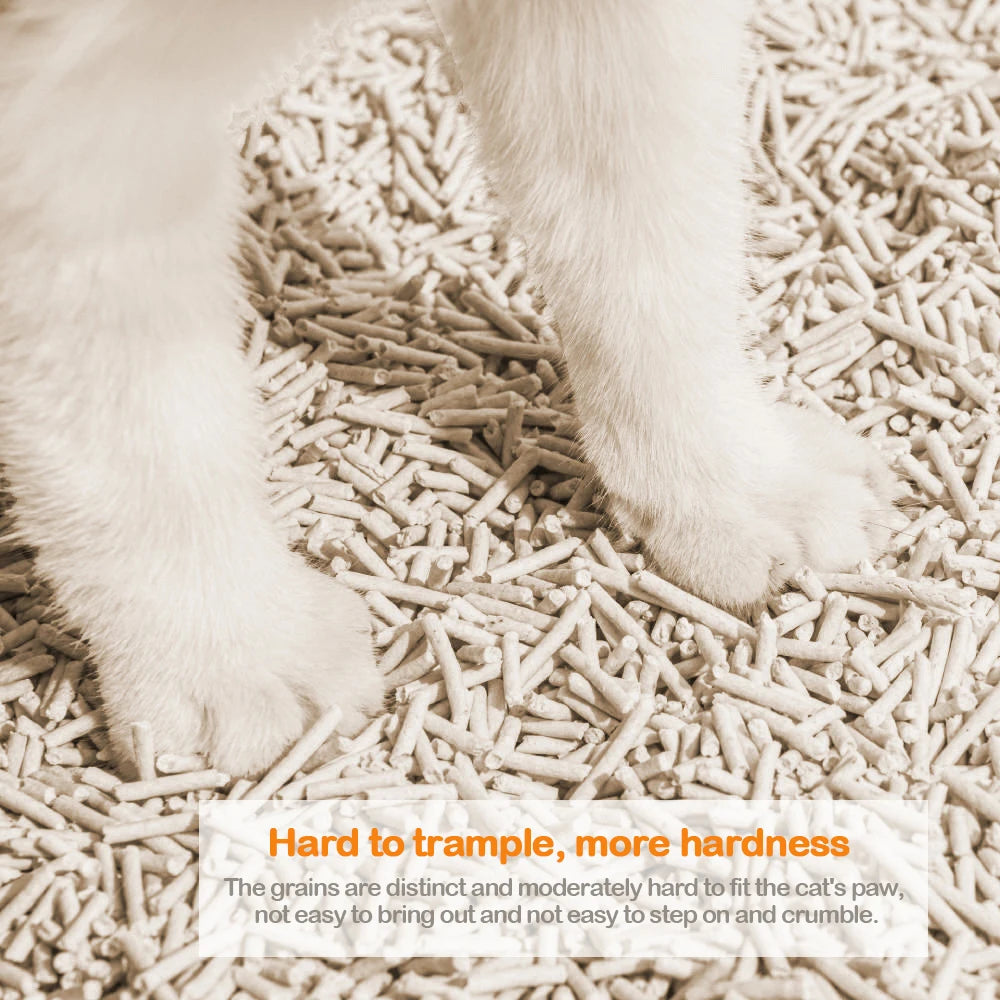 Arena de Tofu para Gatos Aglomerante sin Polvo